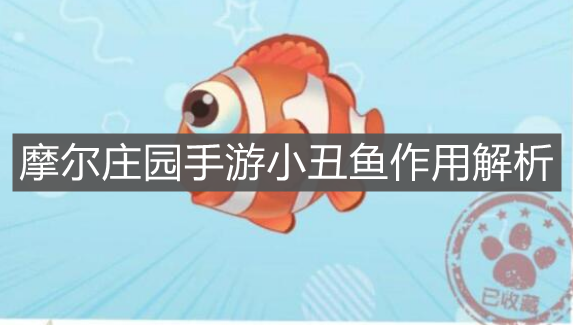 《摩尔庄园手游》小丑鱼作用解析