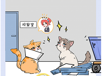 这猫脑洞贼大第13关攻略
