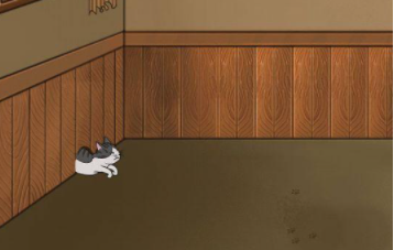 我的猫咪找不到了第6关攻略