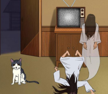我的猫咪找不到了第13关攻略