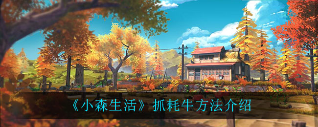 《小森生活》抓耗牛方法一览