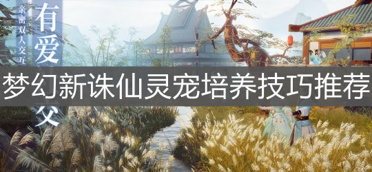 《梦幻新诛仙》灵宠培养技巧推荐