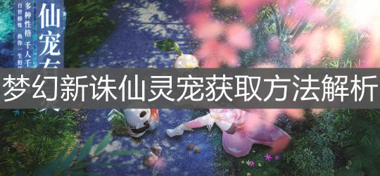 《梦幻新诛仙》灵宠获取方法解析