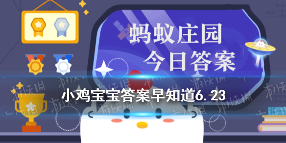 买回散装鸡蛋，放进冰箱前，要不要先洗一洗 小鸡宝宝今日答案早知道6月23日