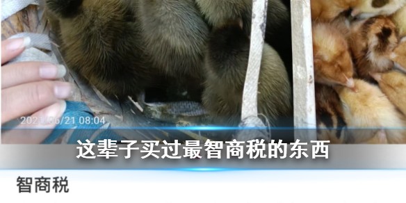 这辈子买过最智商税的东西是什么梗