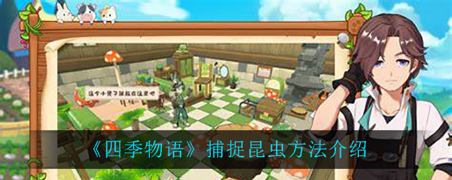 《四季物语》昆虫如何捕捉