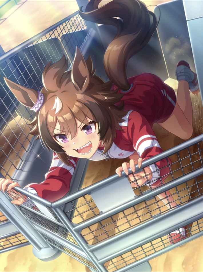 《赛马娘手游》新光风支援卡效果中文翻译