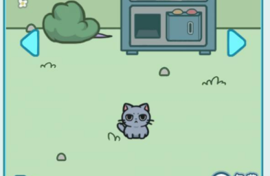 天天躲猫猫3第8关攻略