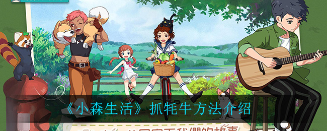 《小森生活》抓牦牛方法介绍