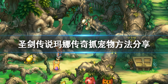 《圣剑传说玛娜传奇》宠物怎么升级？宠物练级方法分享