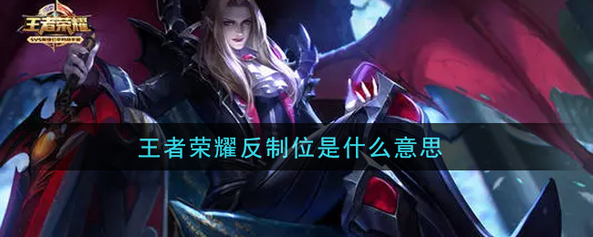王者荣耀反制位是什么意思