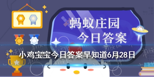 运动锻炼过程中应该如何补充水分 小鸡宝宝今日答案早知道6月28日