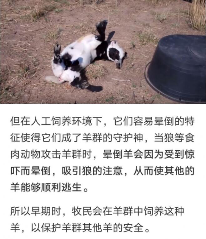 QQ截图20210628164342.jpg