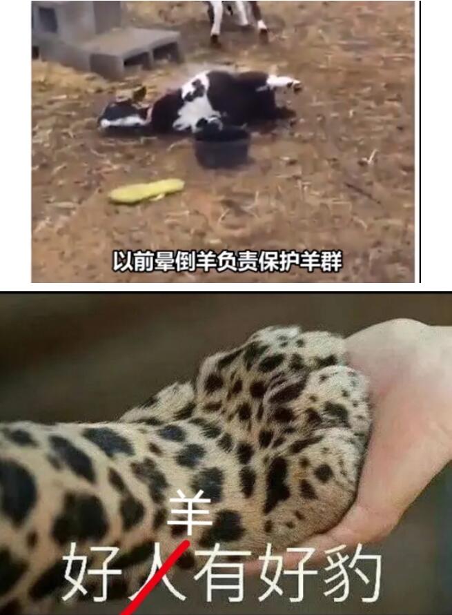 QQ截图20210628164358.jpg