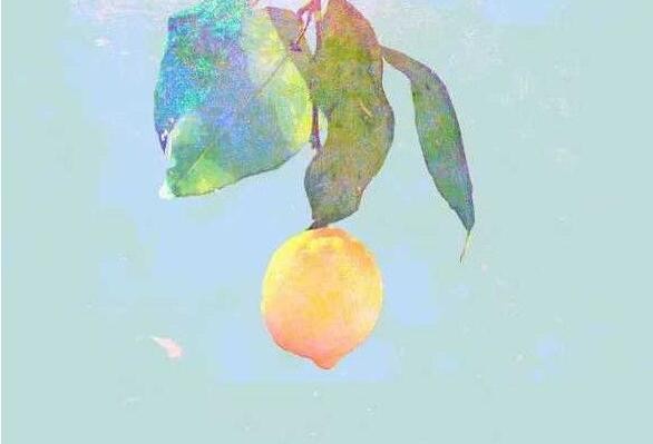 摩尔庄园lemon琴谱