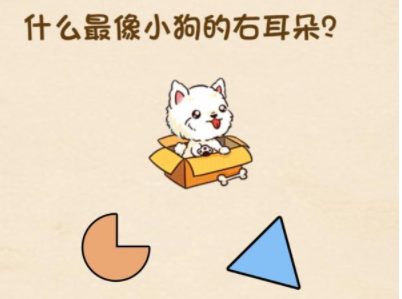 脑力王者第24关攻略