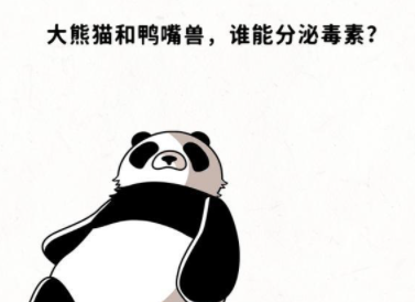 脑力谜题第39关攻略