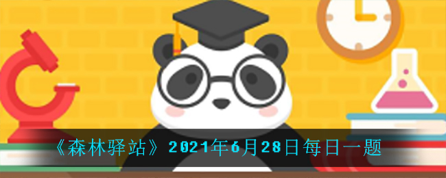 《森林驿站》2021年6月28日每日一题