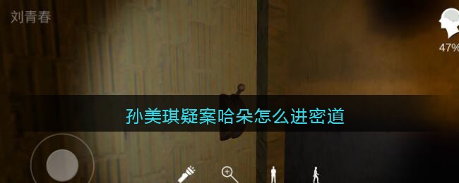 孙美琪疑案哈朵怎么进密道