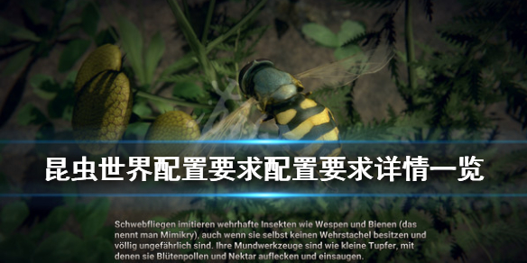 《昆虫世界》配置要求是什么？配置要求详情一览