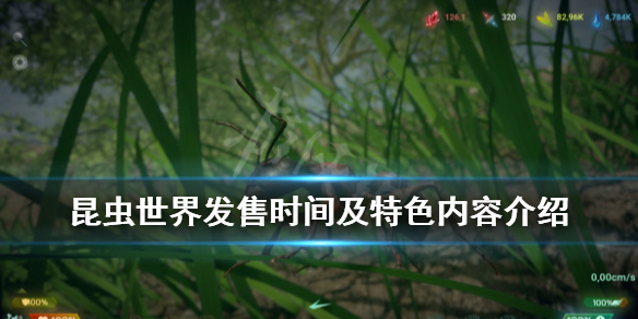 《昆虫世界》游戏什么时候出？发售时间及特色内容介绍