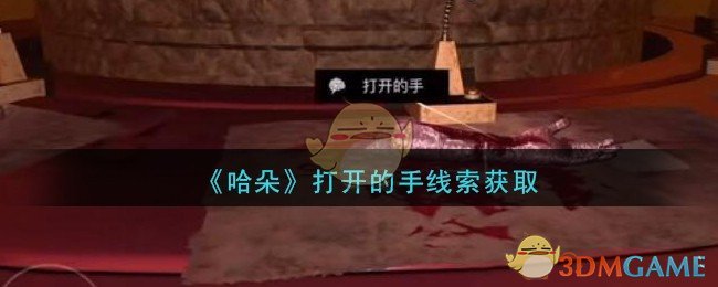 《孙美琪疑案：哈朵》五级线索——打开的手