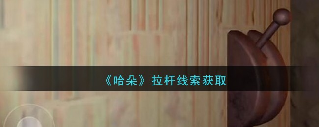 《孙美琪疑案：哈朵》五级线索——拉杆