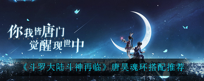 《斗罗大陆斗神再临》唐昊魂环搭配推荐