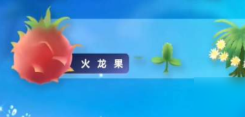 《摩尔庄园》手游火龙果怎么获得