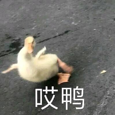 热门微信表情包