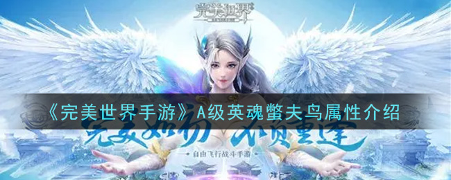 《完美世界手游》A级英魂蟞夫鸟属性介绍