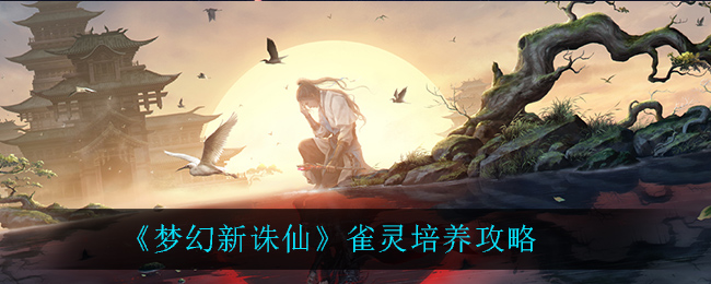 《梦幻新诛仙》雀灵培养攻略