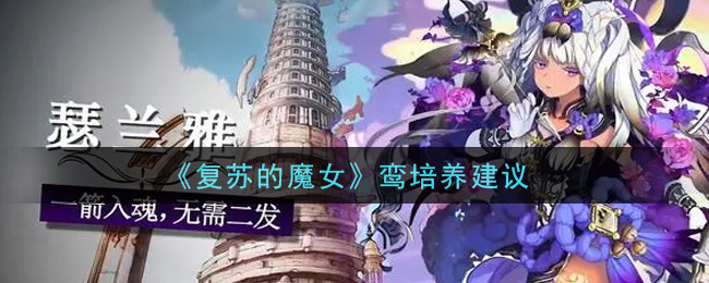 《复苏的魔女》鸾培养建议