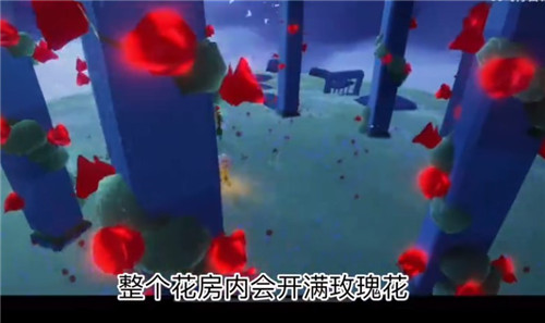 《光遇》小王子季第四个任务攻略流程