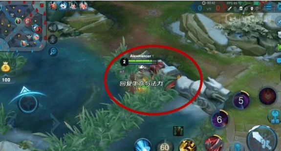 《王者荣耀》中单发育技巧