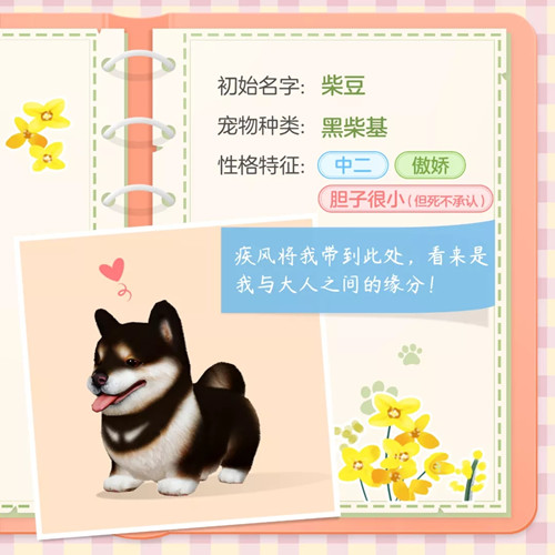 《天谕》手游宠物柴豆怎么样