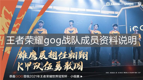 《王者荣耀》gog战队成员资料说明