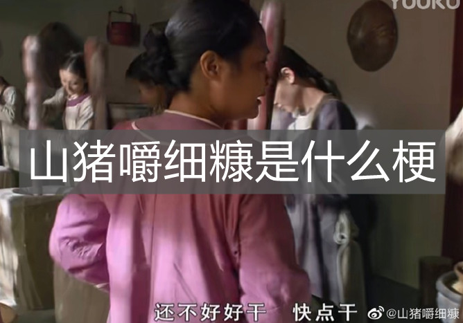 《梗百科》山猪嚼细糠是什么梗