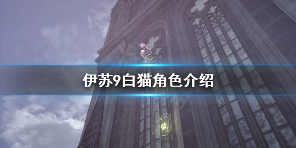 《伊苏9》白猫是谁？白猫角色介绍