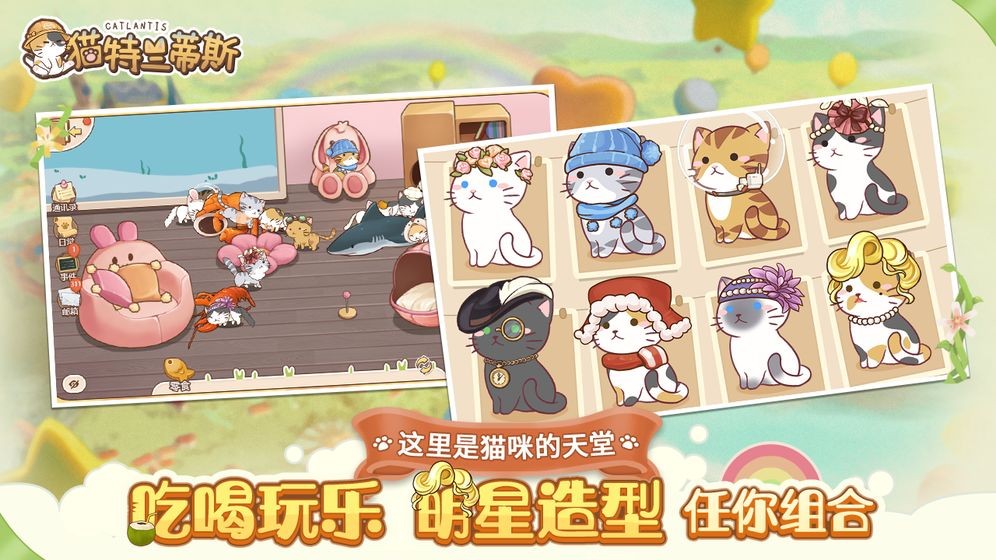 猫咪大陆游戏