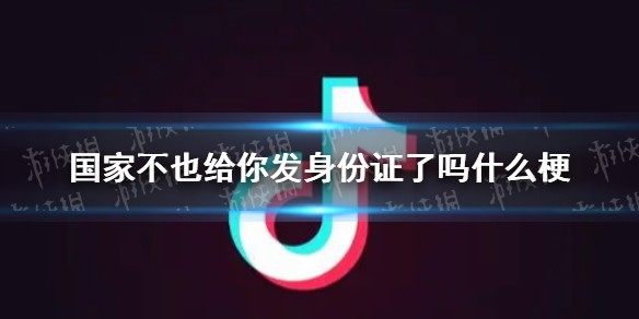 国家不也给你发身份证了吗什么梗
