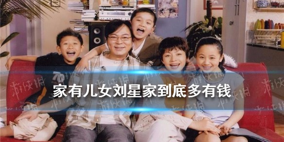 家有儿女刘星家到底多有钱是什么梗