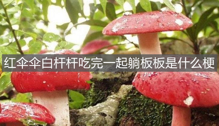 红伞伞白杆杆吃完一起躺板板是什么梗