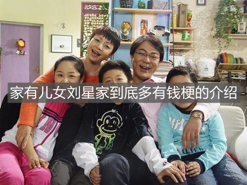 家有儿女刘星家到底多有钱梗的介绍