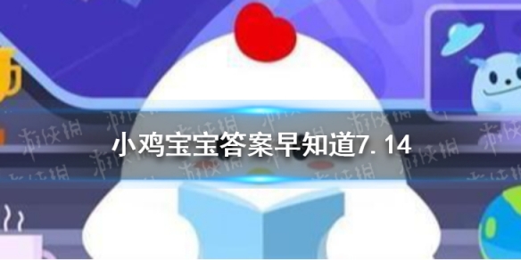 倒啤酒时为啥会产生大量的泡沫 小鸡宝宝今日答案早知道7月14日