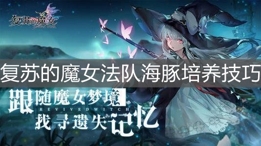 《复苏的魔女》法队海豚培养技巧