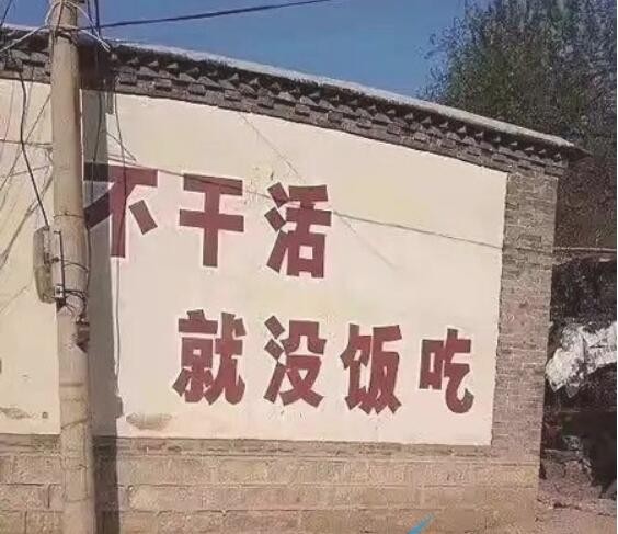 都市隶人是什么梗