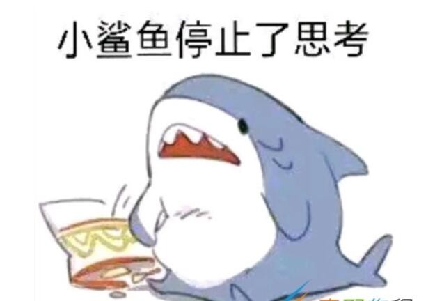 小鲨鱼停止了思考是什么梗