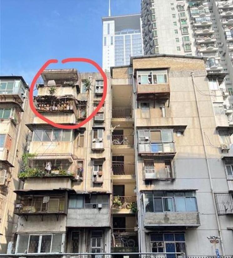 房屋空置6年，阳台上竟长出2棵树，房主担心危险连夜坐火车回家清理