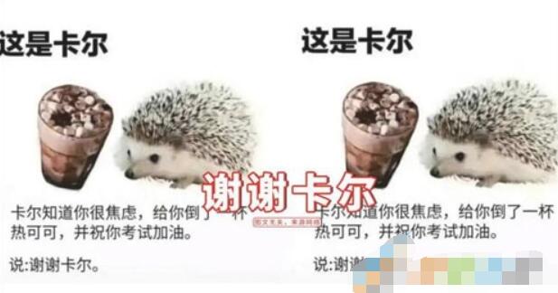 QQ截图20210715094836.jpg